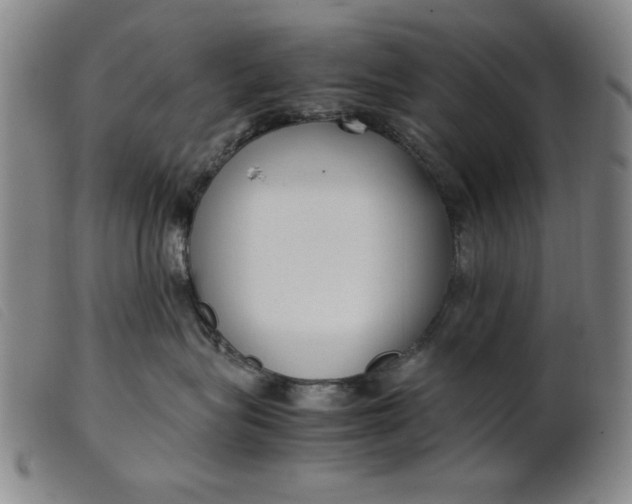 X0000099400575200805221859