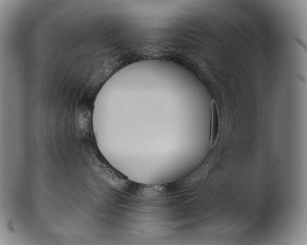 X0000099400576200805221859