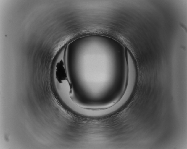 X0000099400578200805221858