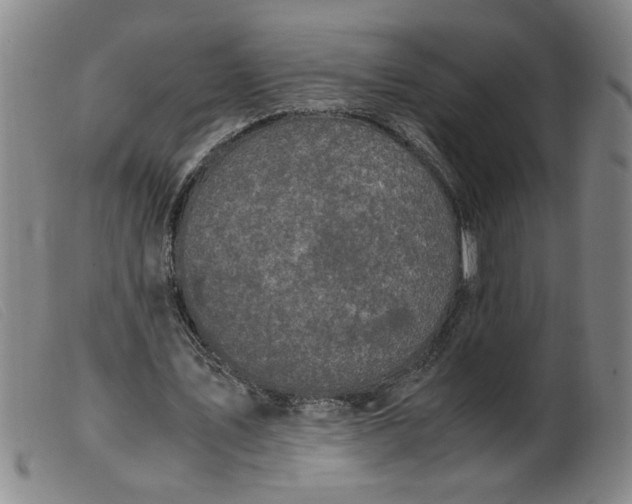 X0000099400579200805221858