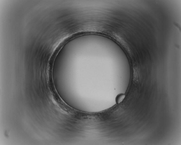 X0000099400580200805221858