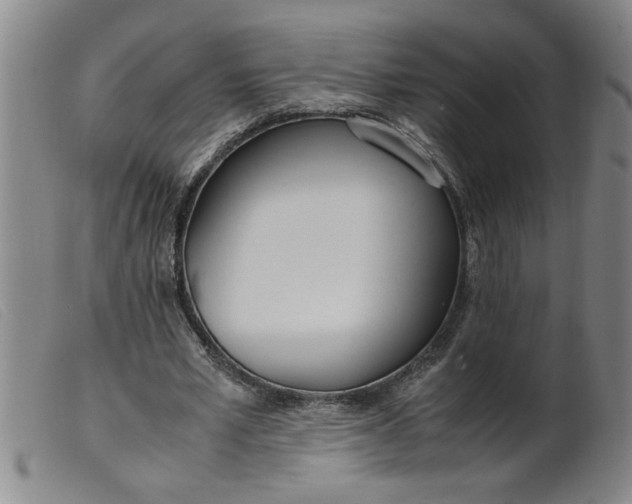 X0000099400581200805221858