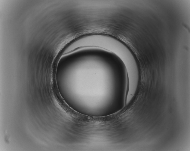 X0000099400582200805221858