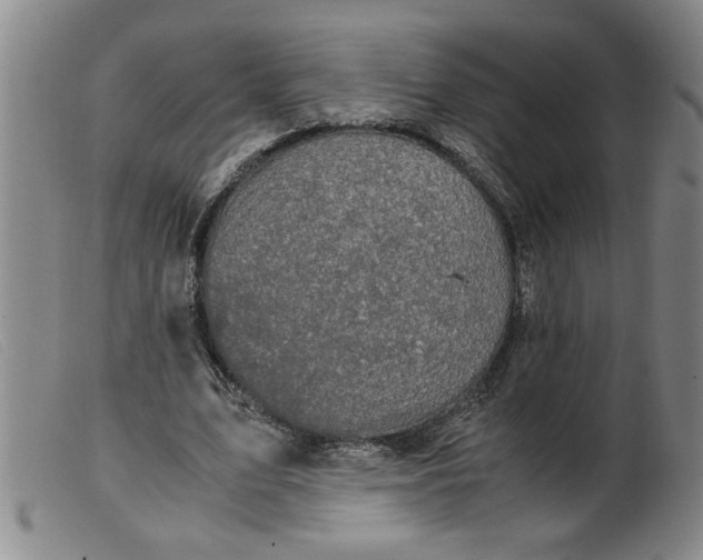 X0000099400583200805221858