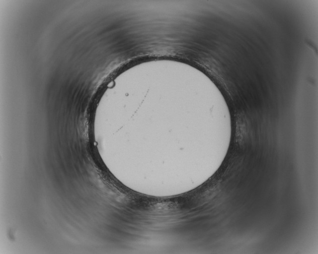 X0000099400584200805221858