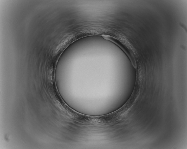 X0000099400585200805221858