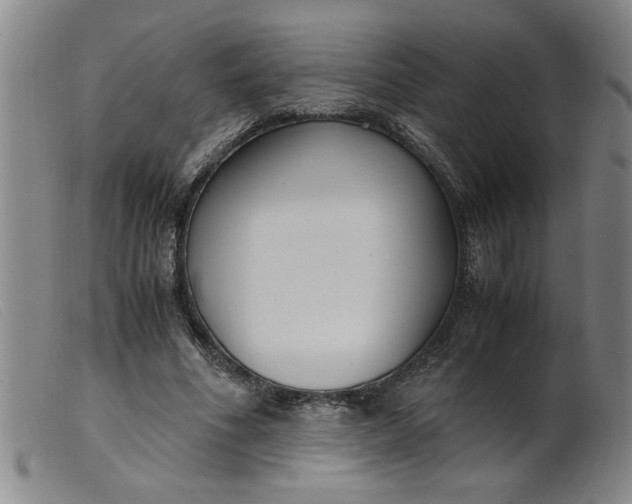 X0000099400586200805221858