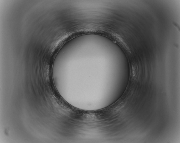 X0000099400588200805221858