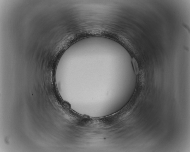 X0000099400589200805221857