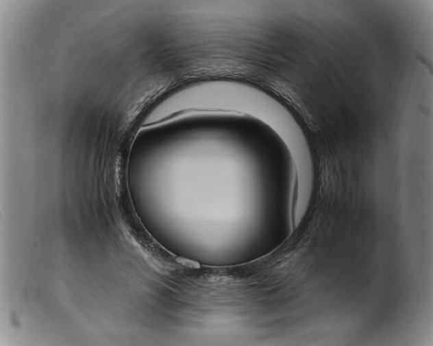 X0000099400590200805221857