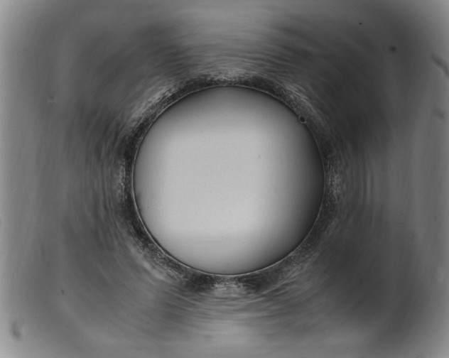 X0000099400591200805221857