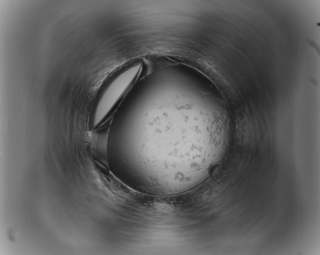 X0000099400592200805221857