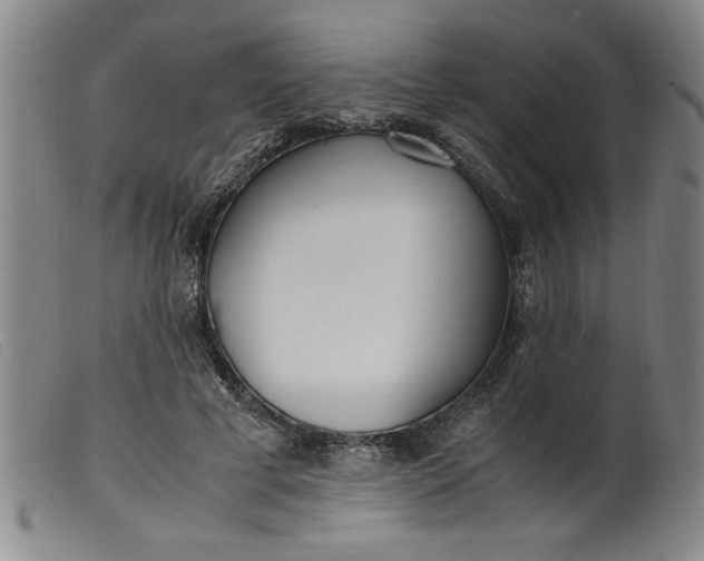 X0000099400593200805221857