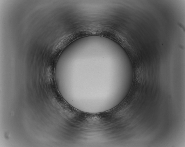 X0000099400594200805221857