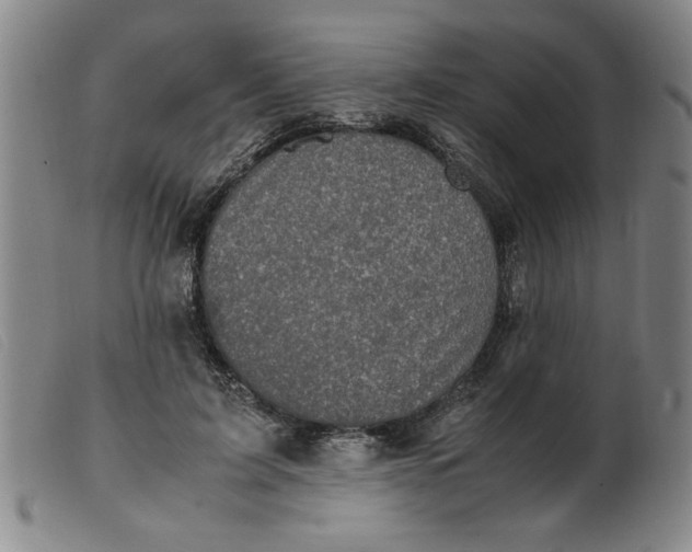 X0000099400595200805221857