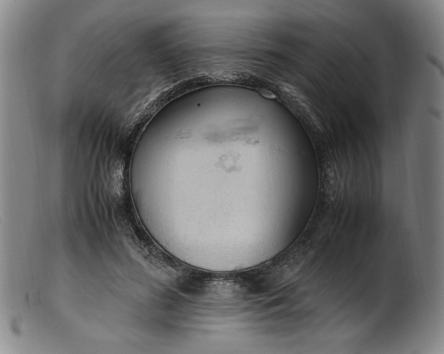 X0000099400596200805221857