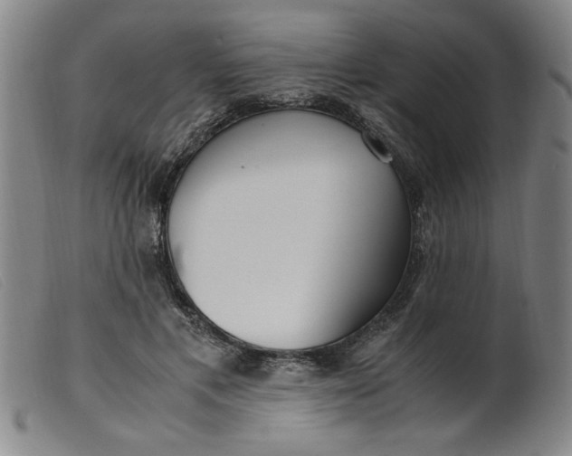 X0000099400597200805221857