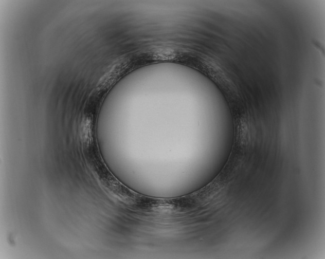 X0000099400598200805221857