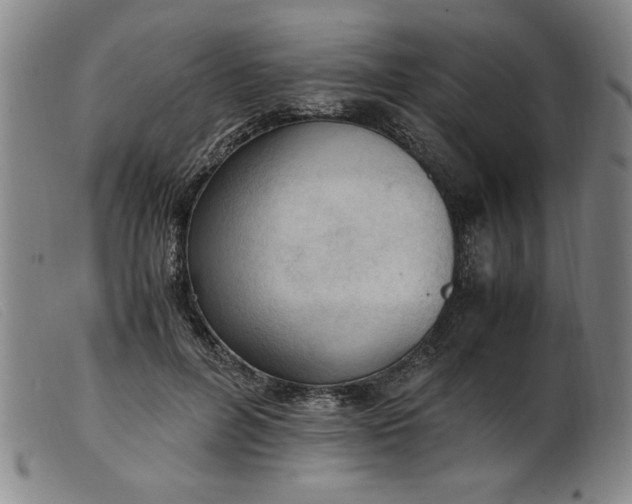 X0000099400600200805221857