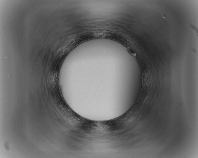 X0000099400601200805221857