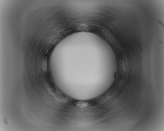 X0000099400602200805221857