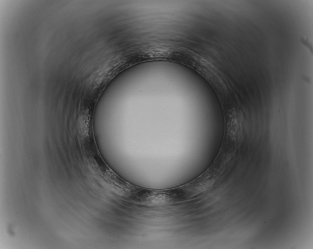 X0000099400604200805221857