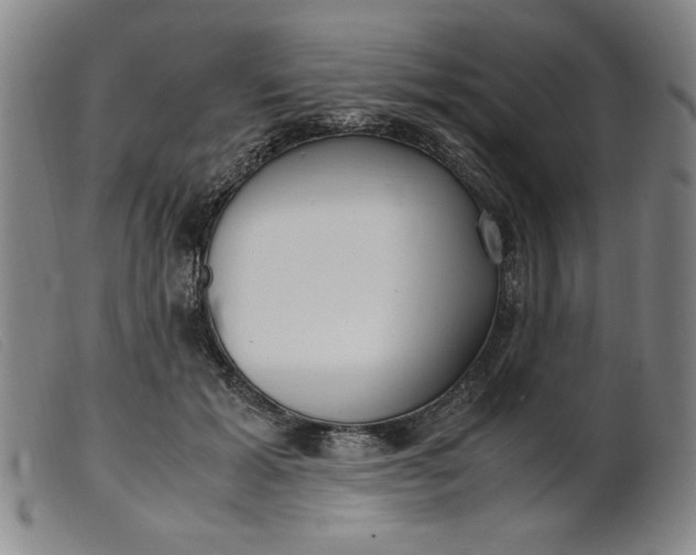 X0000099400605200805221857