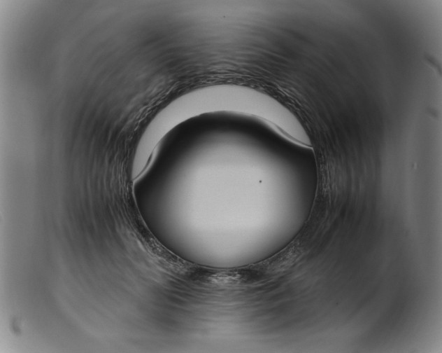 X0000099400606200805221857