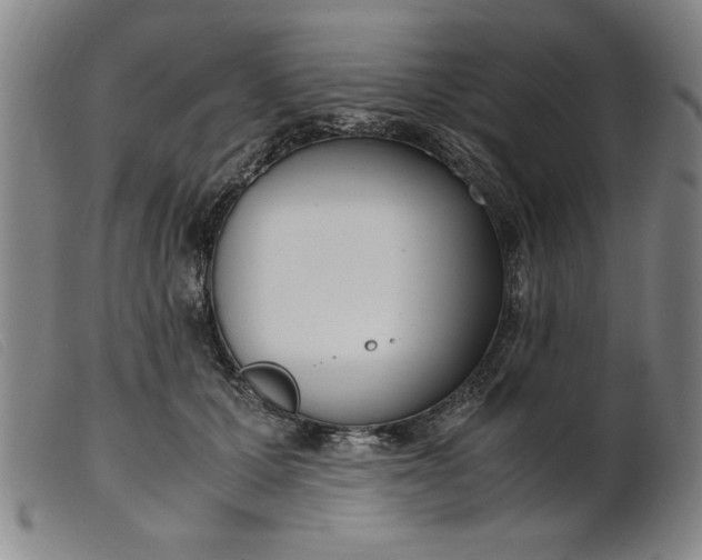 X0000099400607200805221857