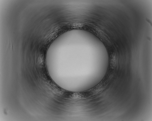 X0000099400608200805221857