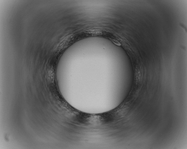 X0000099400609200805221857