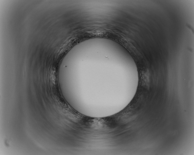 X0000099400612200805221857