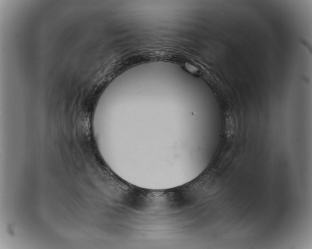 X0000099400613200805221857