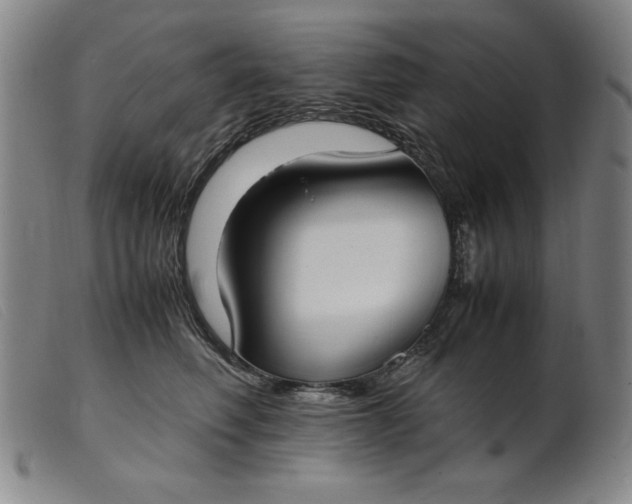 X0000099400614200805221857