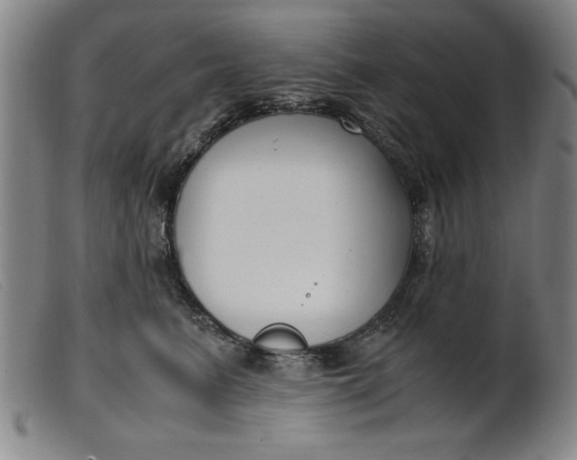 X0000099400615200805221857