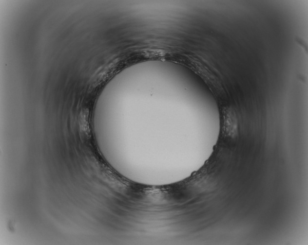 X0000099400616200805221857