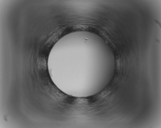 X0000099400617200805221857