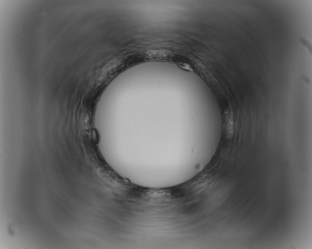 X0000099400619200805221857