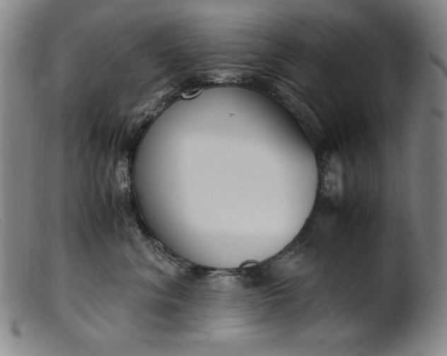 X0000099400620200805221857