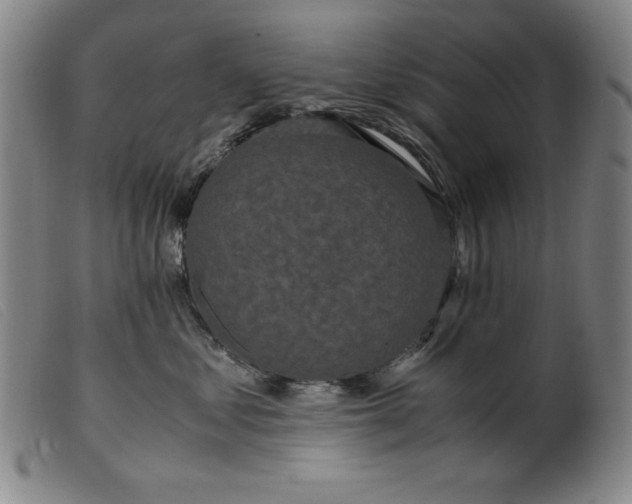 X0000099400621200805221857