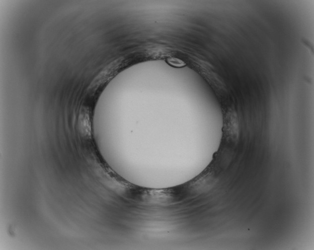 X0000099400622200805221857