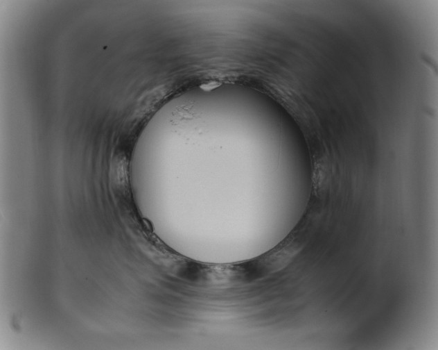 X0000099400623200805221857