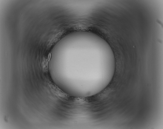 X0000099400624200805221857