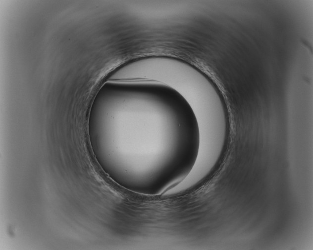 X0000099400625200805221856