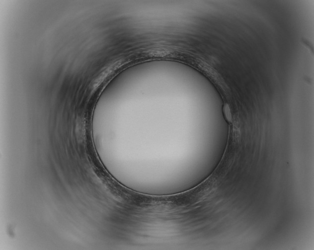 X0000099400626200805221856