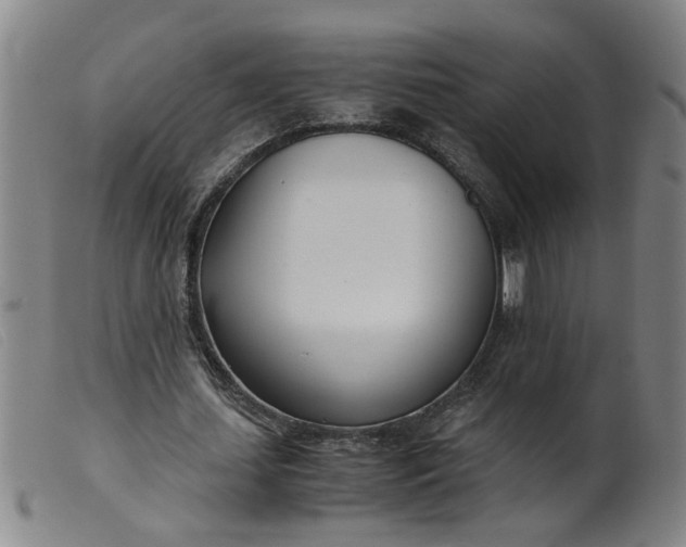 X0000099400627200805221856