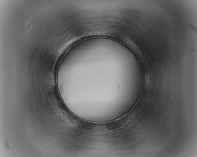 X0000099400628200805221856