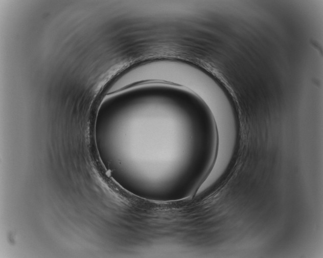 X0000099400629200805221856