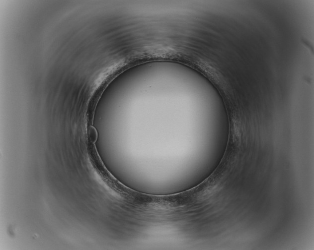 X0000099400630200805221856