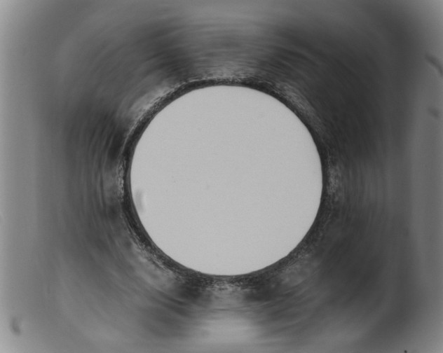 X0000099400632200805221856